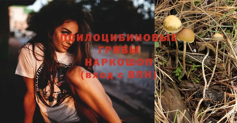 Галлюциногенные грибы Magic Shrooms  Белово 